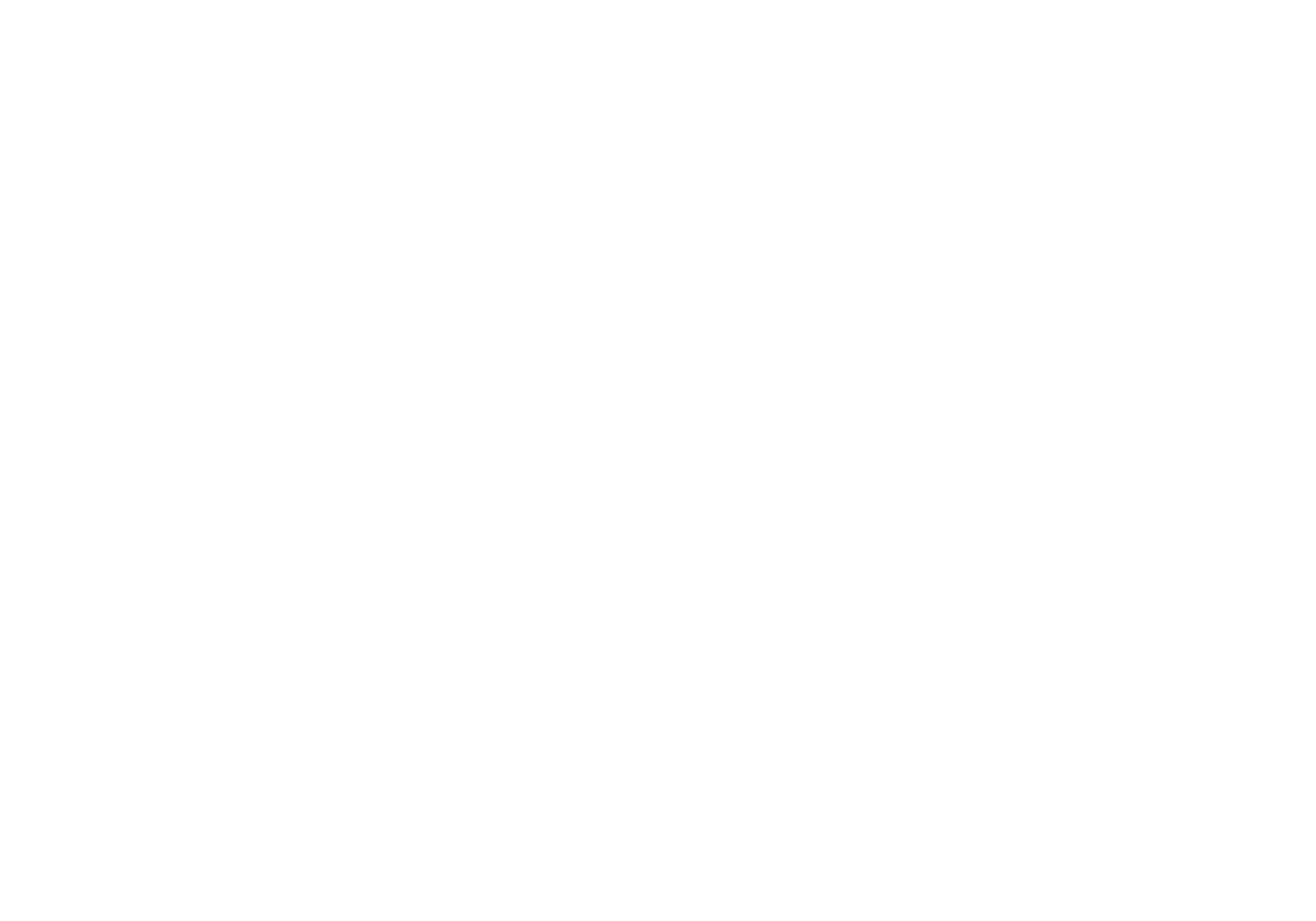 TheBridgeLOGO-white